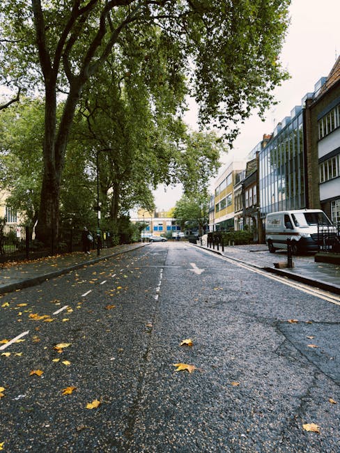 An urban residential street scene showing a wet tarmac road lined with fallen yellow leaves, with large leafy trees on the left side providing canopy cover. Modern multi-story buildings with large windows and balconies are visible on the right, along with parked white commercial vans and other vehicles. The perspective extends towards a building at the end of the street, with the overcast sky providing diffuse lighting. This setting illustrates a typical environment where house removals and furniture transport may take place as part of a home relocation or moving process, aligning with services offered by Man With a Van Finsbury Park.